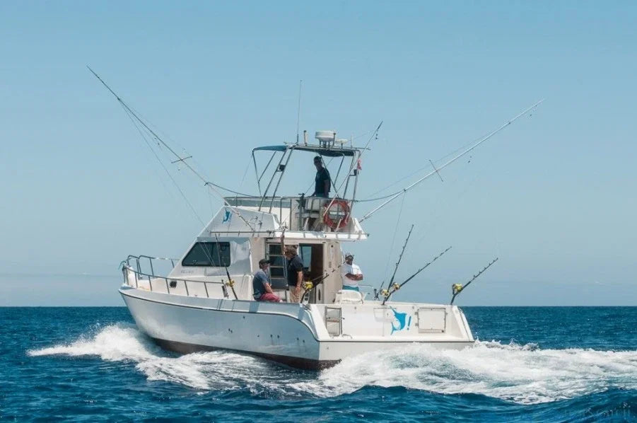 files/fish-on-barco-3802.webp